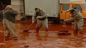 EU faults Hungary’s deadly red mud classification