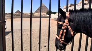 Le tourisme en grave perte de vitesse en Egypte