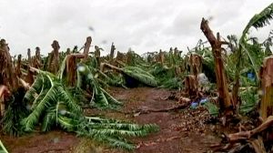 No loss of life as Cyclone Yasi hits Australia