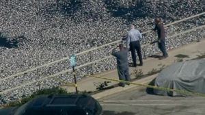 Des millions de sardines dans une marina californienne