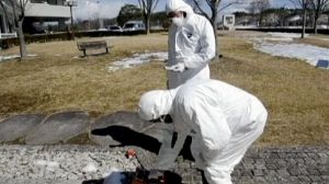 Plutonium discovery adds to Japan’s atomic woes