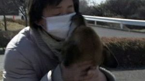 Bark together again: reunited after tsunami split