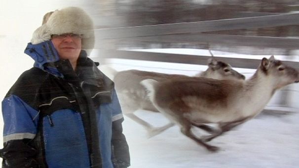 Climate change costing herders deer