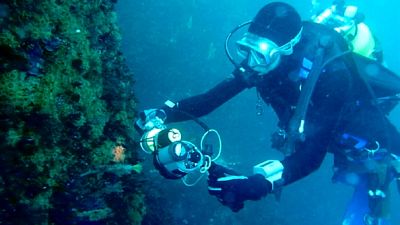 A life underwater A life underwater