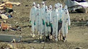 Fukushima operators begin pumping out radioactive water