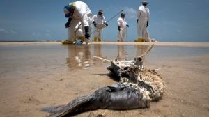 Fishermen seek compensation a year after BP spill