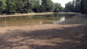 Europe’s farmers worried by the weather