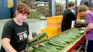 E.coli scare hits consumer confidence