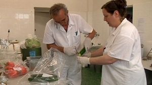 Bactérie E. Coli: l’Espagne va demander des dédommagements