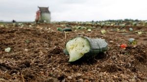 Europe’s farmers angry over ‘killer’ cucumber crisis