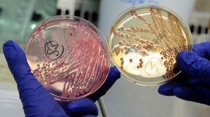 Germany signals significant fall in new E.coli cases