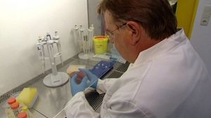 E.coli: scientists ponder multiple sources