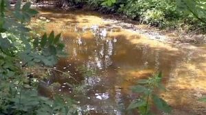 La bactérie tueuse E-coli décelée dans un ruisseau allemand