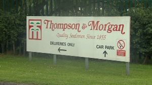 British mail-order company blamed for French E. coli