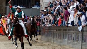 Animal rights activists criticise traditional Italian race