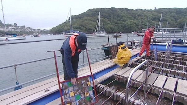 Nano boat coating gives barnacles heave-ho