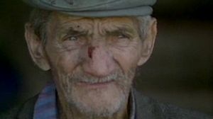 Vukovar welcomes arrest of Hadzic