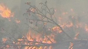 Russia battles forest fires amid heatwave