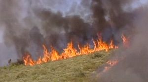 Feux dévastateurs au Portugal