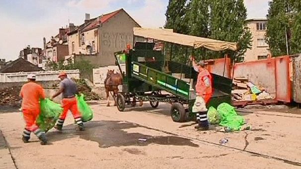 Horses as eco-friendly alternative to garbage trucks