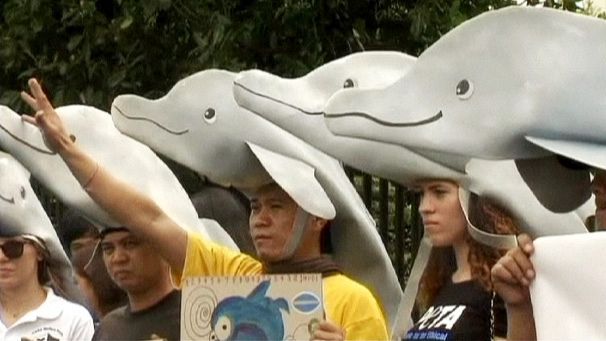Animal activists protest against Japan dolphin hunting