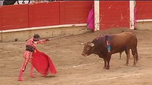 Catalonia prepares for controversial bullfighting ban 
