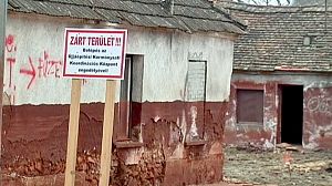 Marée rouge en Hongrie : un an après, l‘économie l’emporte sur l‘écologie