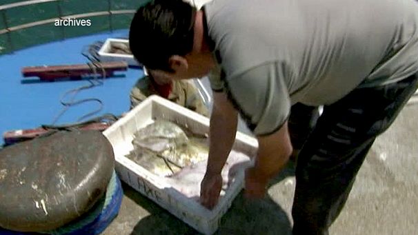 ¿Demasiadas ayudas para la pesca española?