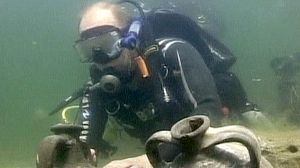 Putin diving stunt was staged
