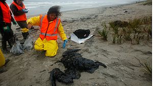 Captain of stricken ship is charged in New Zealand