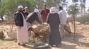 Festival celebrations dampened in Libya