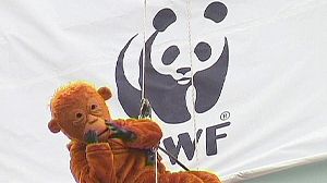 Pologne : le WWF attire l’attention sur la situation des Orang-Outan de Bornéo