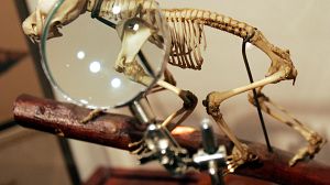 Rétromachine : la révolution de l‘évolution