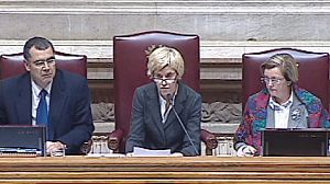 Portugal passes austerity budget as recession deepens