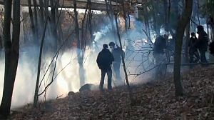 Tear gas in the forest amid Italy rail protest