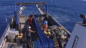 EU fishing boats to leave Moroccan waters