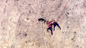 Cliff fall hiker and dog rescued