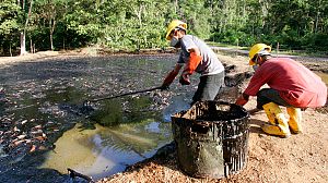 Chevron assets sought to pay damages bill