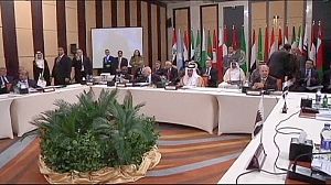 Arab League wants Syria observer mission to go on