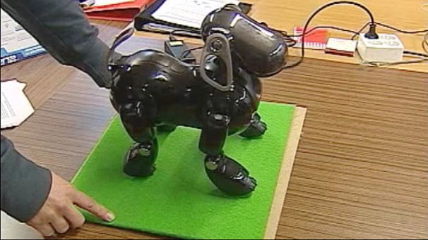 Roboter sollen Gehbehinderten helfen