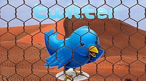 Des utilisateurs de Twitter s’inquiètent d’une “censure”