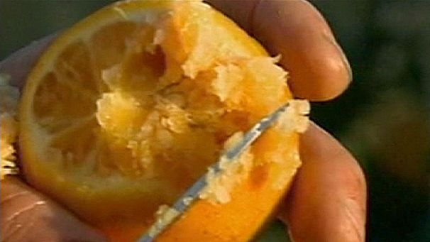 Frutta e verdura: in aumento i prezzi a causa del maltempo