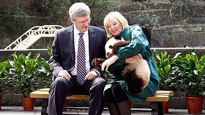 Harper’s panda diplomacy Harper’s panda diplomacy