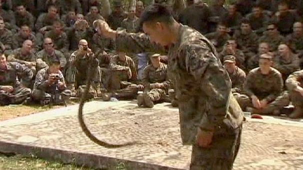 Exercícios de guerra na selva para os marines americanos