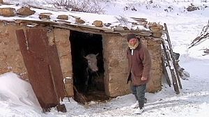 Una ola de frío y nieve causa decenas de muertes en el norte de África