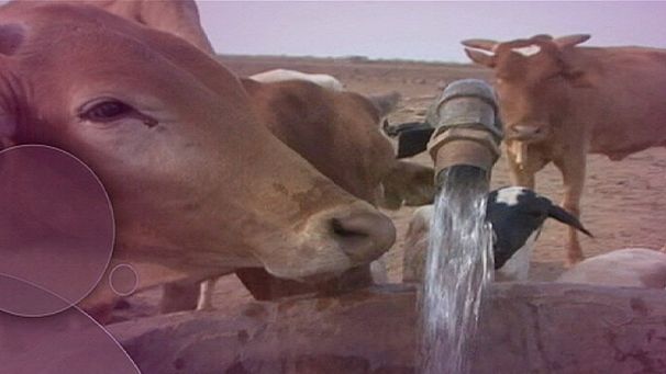 ‘The Network’ goes in search of water