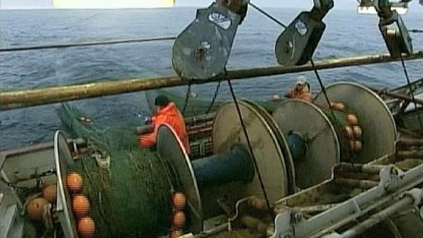 Good progress on fish discard ban, say EU ministers