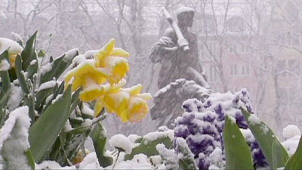 Spring Snow in Munich