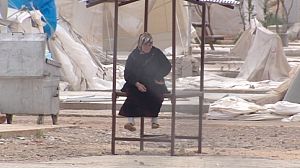 Syria neighbours hope ceasefire holds