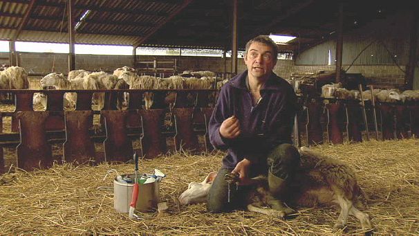 EU targets ‘sofa farmers’